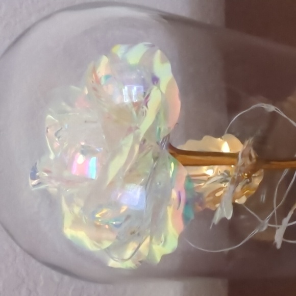 LED Light Up Iridescent Rose Of Love Gold Leaves Glass Dome 7" - Picture 9 of 9
